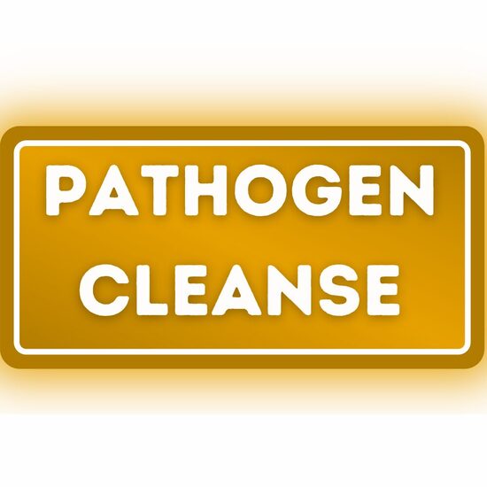 Wsparcie w usuwaniu patogenów z organizmu. 