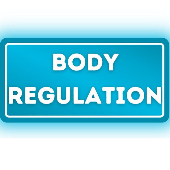 Wsparcie regulacji organizmu