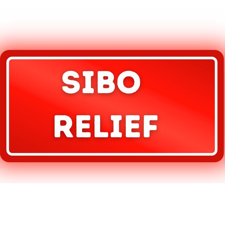 Plan SIBO – wspierający redukcję przerostu flory bakteryjnej